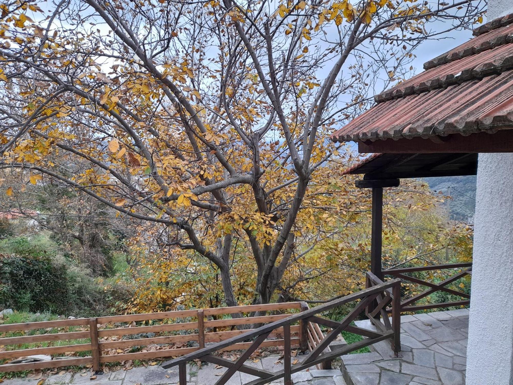 Mountain And Sea View Βίλα Μηλιές Εξωτερικό φωτογραφία